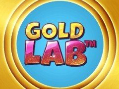 Gold Lab