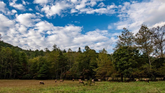 NC Tribe Closer to Offering Sports Betting after Federal OK NC Tribe Closer to Offering Sports Betting after Federal OK