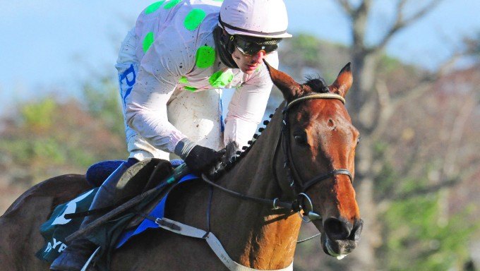 David Mullins: Why Chacun Pour Soi is Made for Cheltenham David Mullins: Why Chacun Pour Soi is Made for Cheltenham