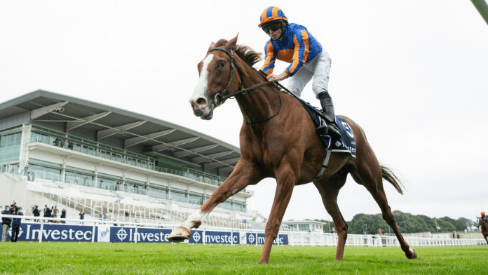 Ultimate Guide To The 2021 King George VI and Queen Elizabeth Qipco Stakes
