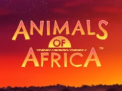 Animals Of Africa