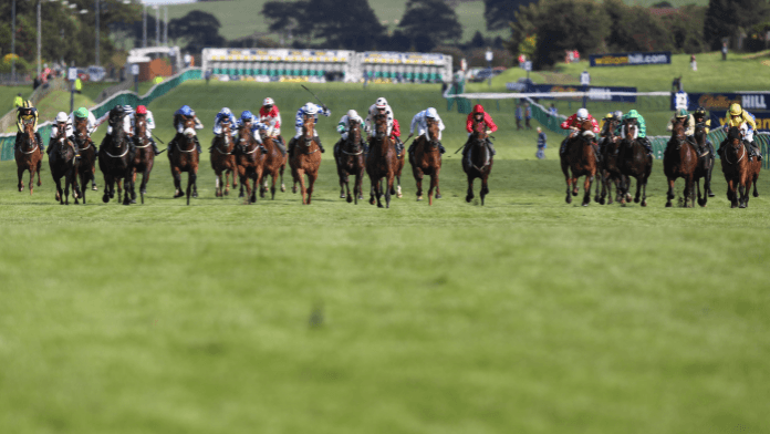2021 Ayr Gold Cup Trends