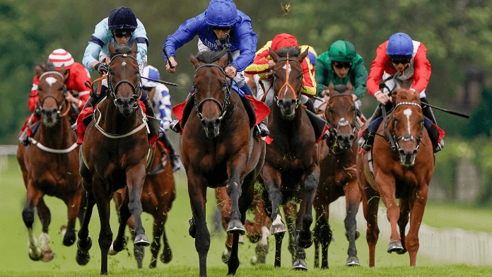 Native Trail Set to Sprinkle Some Stardust on Dewhurst Stakes