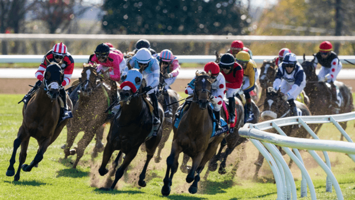 Breeders’ Cup 2021 - Del Mar guide, Key Big-Race Trends, European prospects and Best Bets