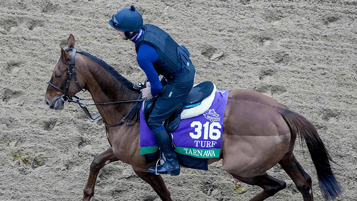 Three Europeans to Note for the Breeders’ Cup
