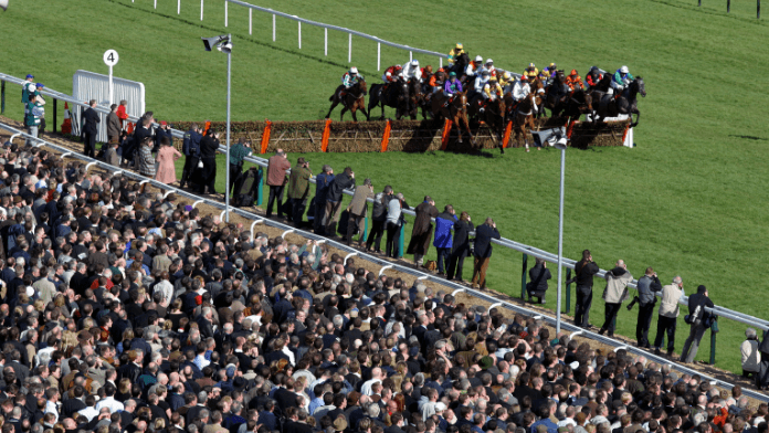 Cheltenham November Meeting Key Stats, Trends & Pointers