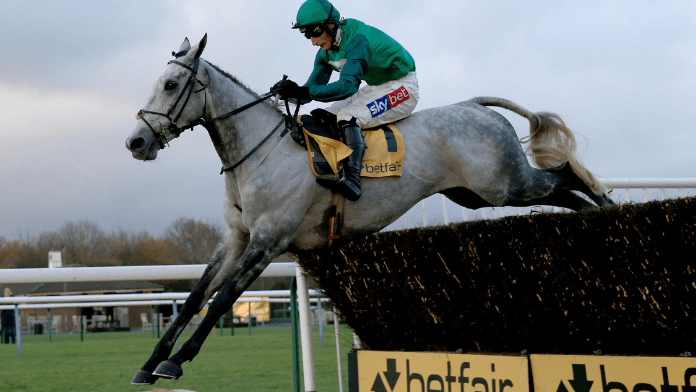 Betfair Chase Trends and Runner-by-Runner Guide