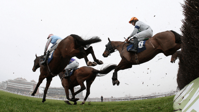 Ladbrokes Trophy Chase Trends, Contenders and Verdict