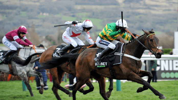 Racing Post Gold Cup Handicap Chase Trends and Guide to Main Contenders