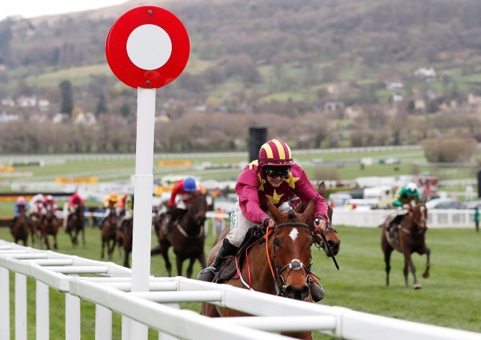Forgiveness The Key To The Cheltenham Gold Cup
