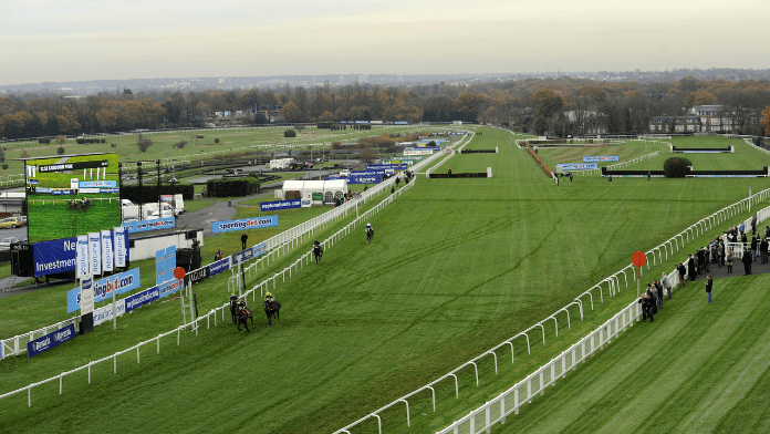 Tolworth Novices' Hurdle Betting Trends and Big Race Verdict