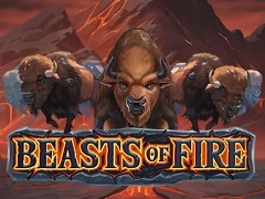 Beasts of Fire