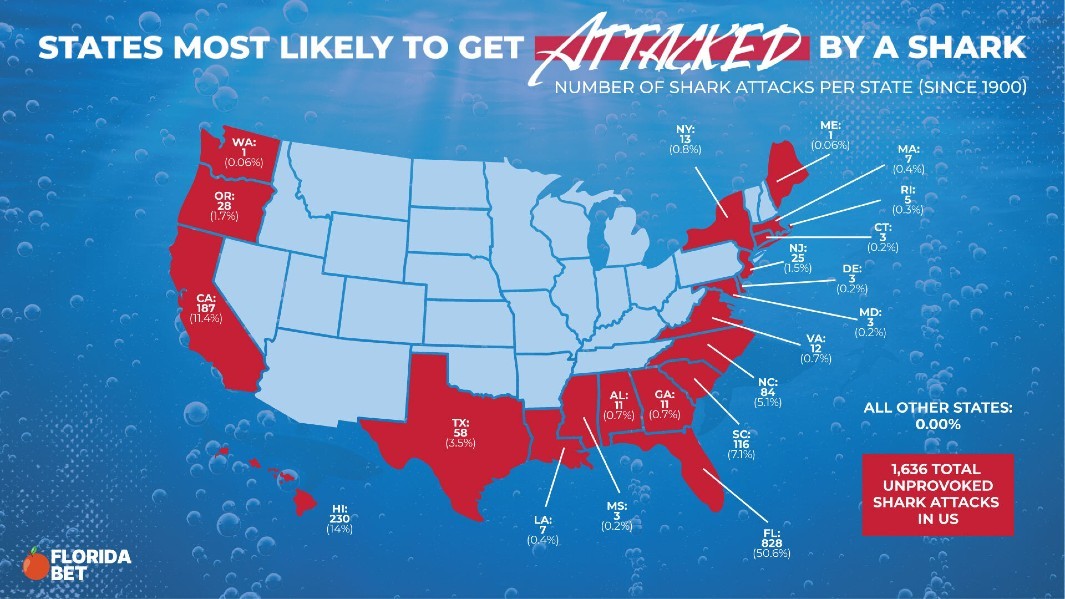 States Where You’re Most Likely to Get Attacked by a Shark