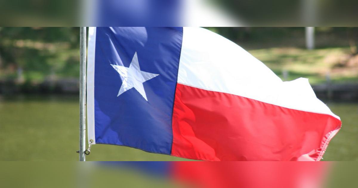 Industry Magnate Adelson Pushes For Texas Casino Expansion