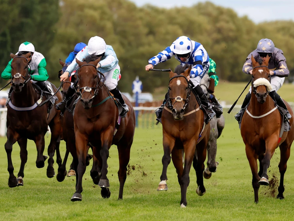 Horse racing tips: James Boyle's best bets for Wednesday

