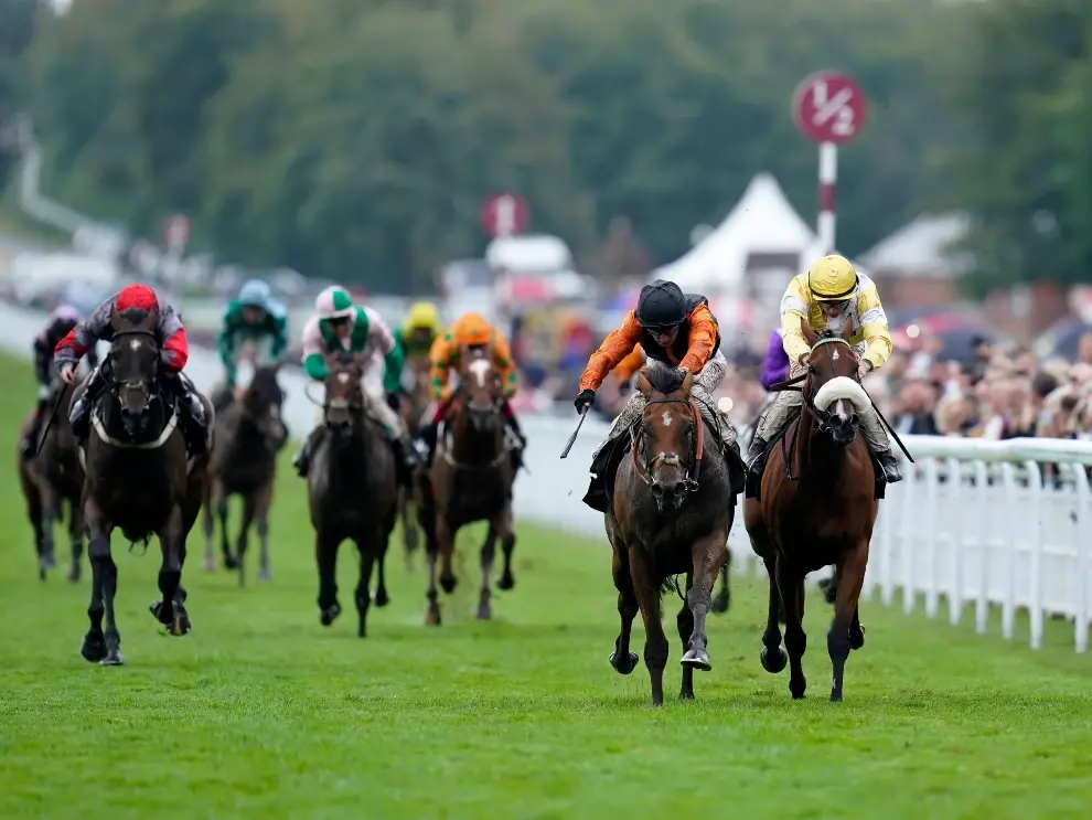 Horse racing tips: James Boyle's best bets for Friday
