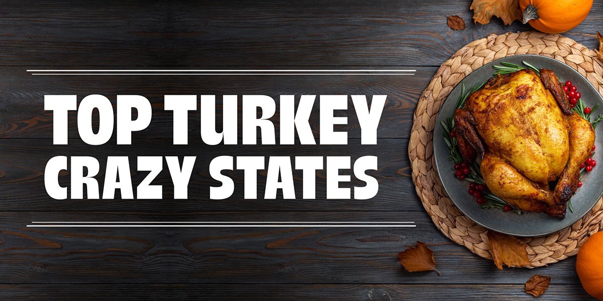 Most Turkey Crazy States In The US Thanksgiving Searches 2023