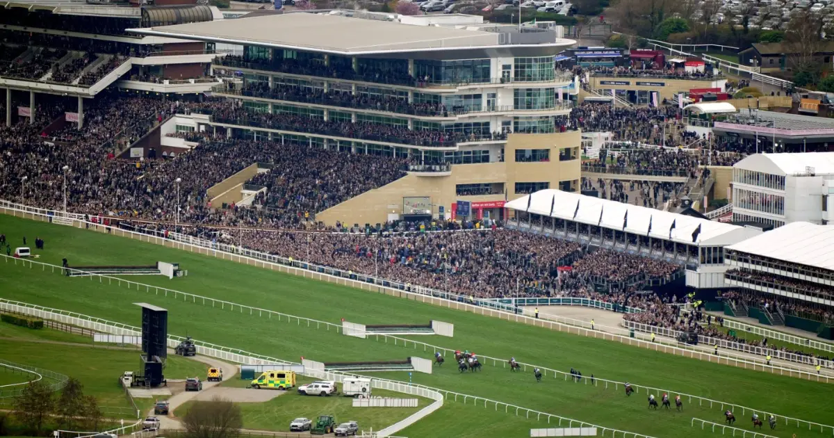 Best Cheltenham Festival Offers 2026: Free Bets For New Customers