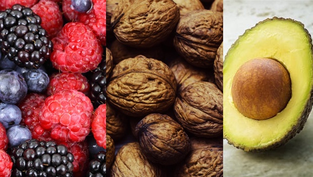 Brain Food