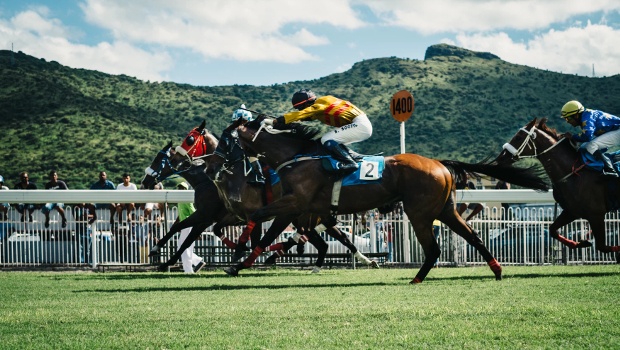 Horse betting