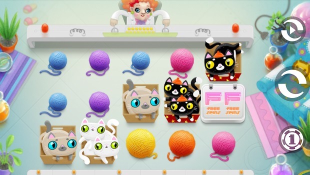Not Enough Kittens
