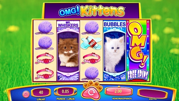 Omg Kittens