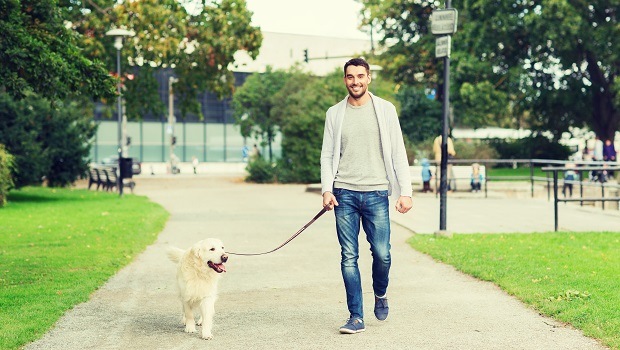 caminar perro es bueno para la salud