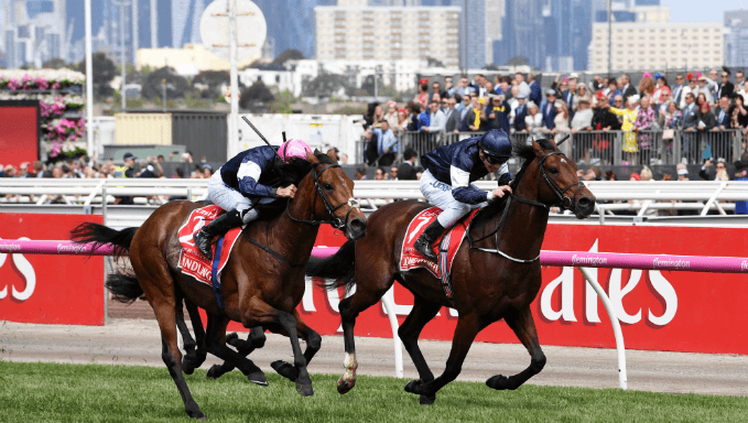 Melbourne Cup Betting Tips: Follow Stamina For Cup Success Melbourne Cup Betting Tips: Follow Stamina For Cup Success
