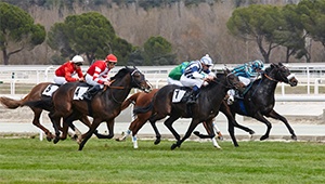 The Different Types of Bets Explained