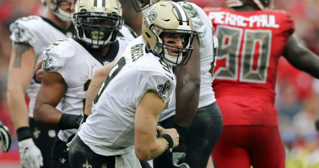 New Orleans Saints quarterback Drew Brees (9) reacts after scoring a touchdown during the second half against the Tampa Bay Buccaneers at Raymond James Stadium.
