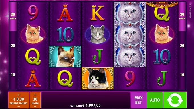 Spielautomat Cutie Cat