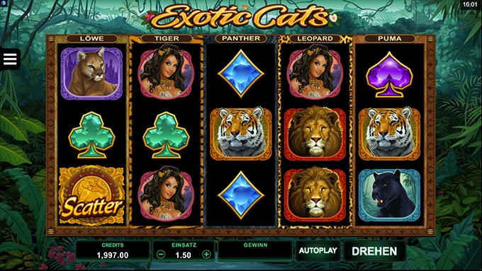 Exotic Cats