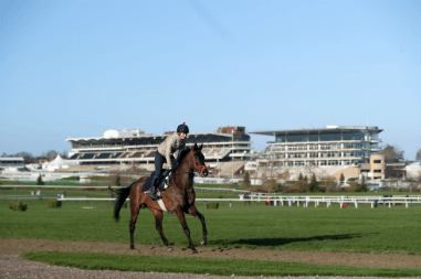 Cheltenham Betting Tips & Predictions For Festival 2019
