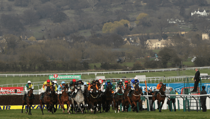 Kim Muir Handicap Chase Trends - Cheltenham Betting Kim Muir Handicap Chase Trends - Cheltenham Betting