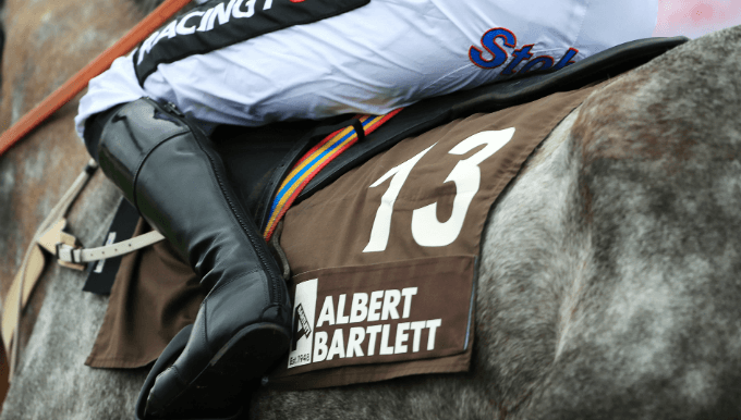Albert Bartlett Novices' Hurdle Trends - Cheltenham Betting Albert Bartlett Novices' Hurdle Trends - Cheltenham Betting