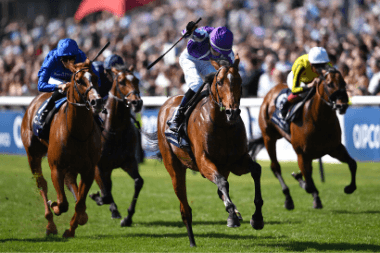 Daily Horse Racing Betting Tips