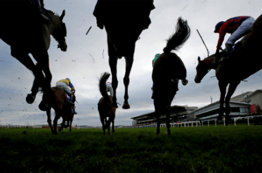 Daily Horse Racing Betting Tips