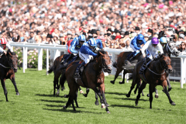Daily Horse Racing Betting Tips