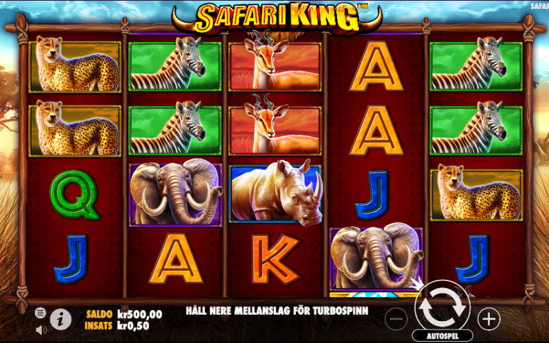 Idag släpps Pragmatic Plays nya spelautomat Safari King