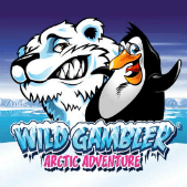 Wild Gambler Arctic Adventure Wild Gambler Arctic Adventure