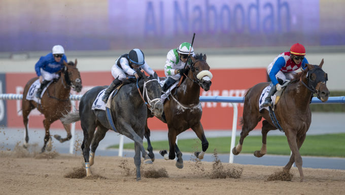 Which Horses are Likely to Race in the Lucrative Saudi Cup? Which Horses are Likely to Race in the Lucrative Saudi Cup?