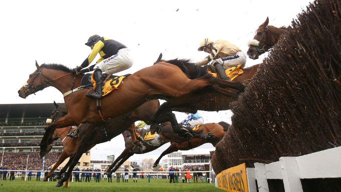 What Are The Changes To Cheltenham Festival and Why? What Are The Changes To Cheltenham Festival and Why?