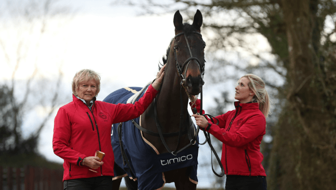 Look Who's Back In Cheltenham Gold Cup Odds Look Who's Back In Cheltenham Gold Cup Odds
