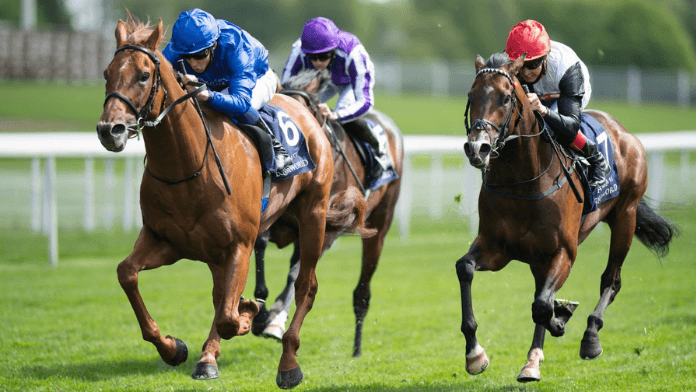 St Leger 2021 Tips, Odds & Analysis