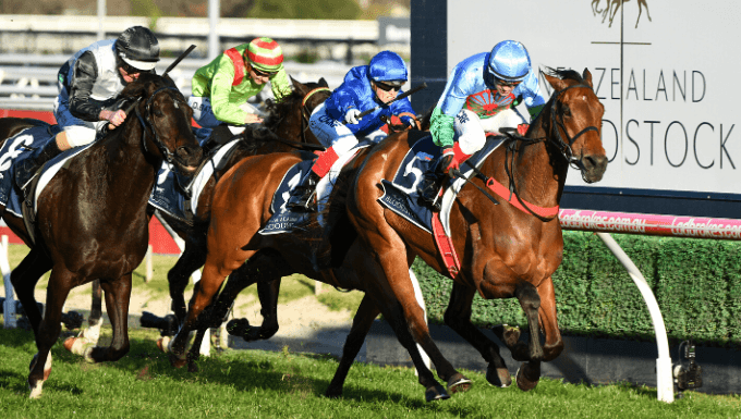 Funding for New Zealand's horse racing industry is increasing