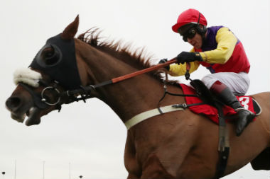 Native River Added To Red-Hot King George Field At Long Odds