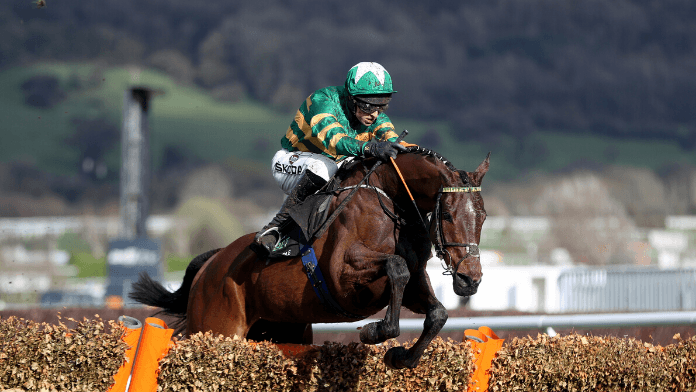 Cheltenham Champion Hurdle Trends