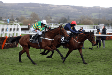 Ballymore Novices' Hurdle 2020 Trends