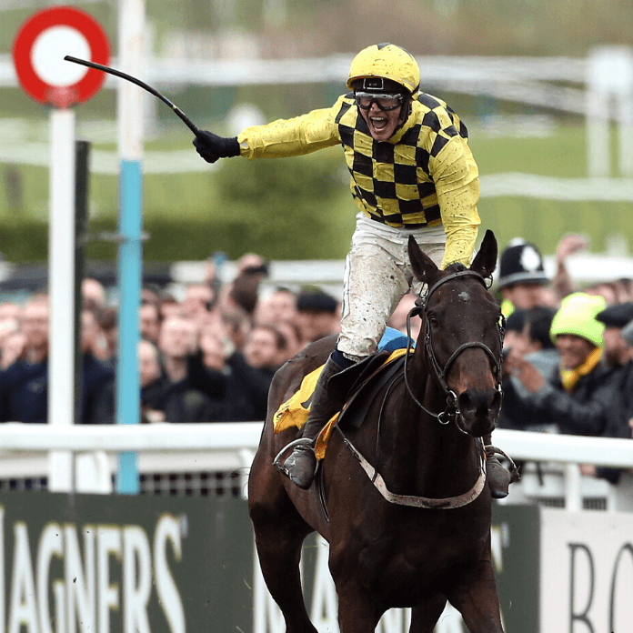 Cheltenham Gold Cup 2022 Trends