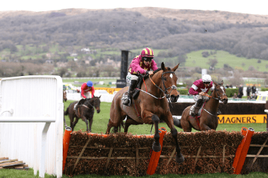 Albert Bartlett Novices' Hurdle 2020 Trends